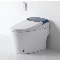 Modern luxury design one piece smart toilet intelligent bidet flush warm air dryer smart toilet